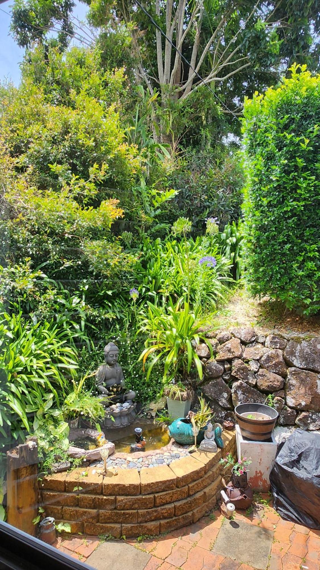 Tambo Tranquility Apartment Tamborine Mountain Exterior photo